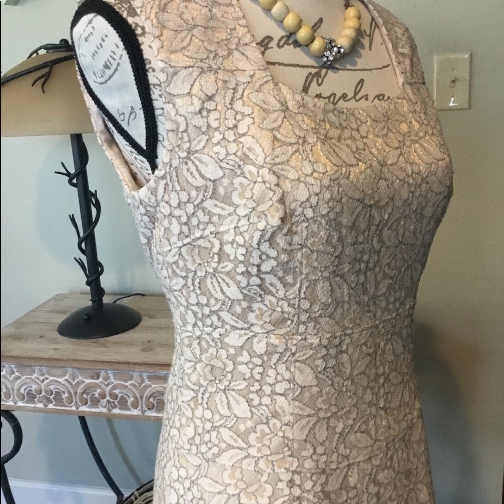 Taupe with ivory lace, casual or formal